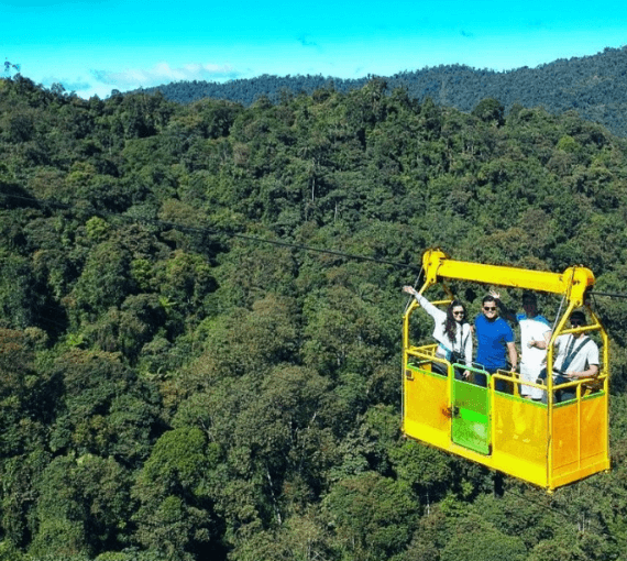 Jungle Safari Ropeways