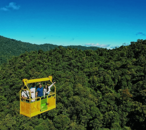 Jungle Safari Ropeways